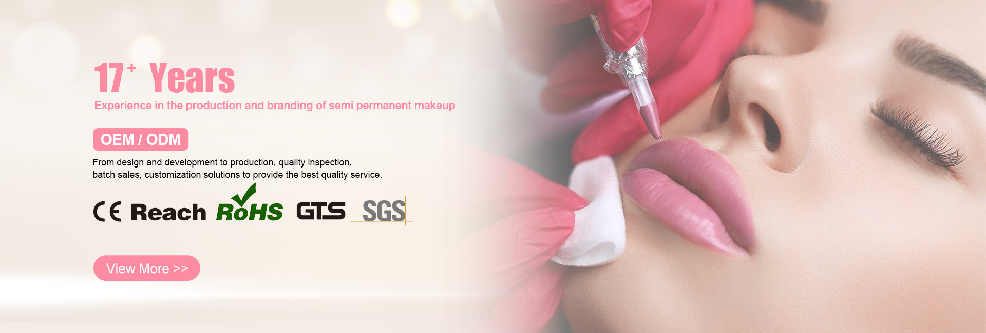 Calidad Equipo permanente del tatuaje del maquillaje fábrica